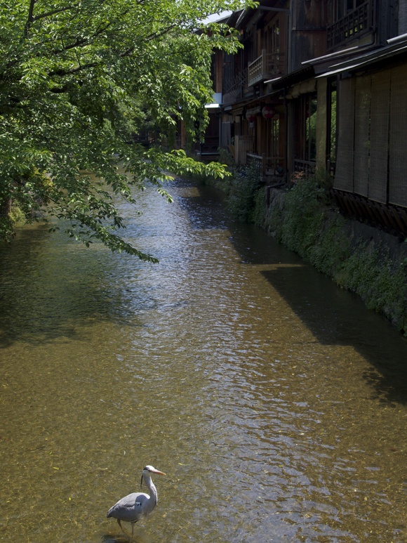 京都　〜 清水寺・祇園界隈 〜_c0186410_20282243.jpg