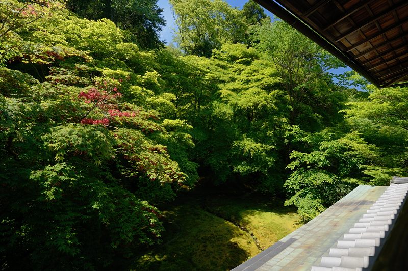 新緑巡り・瑠璃光院 其の二_f0032011_18201679.jpg