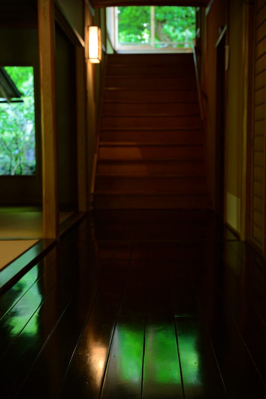 新緑巡り・瑠璃光院 其の二_f0032011_18213891.jpg