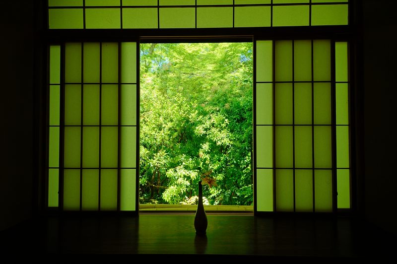 新緑巡り・瑠璃光院 其の二_f0032011_18221039.jpg