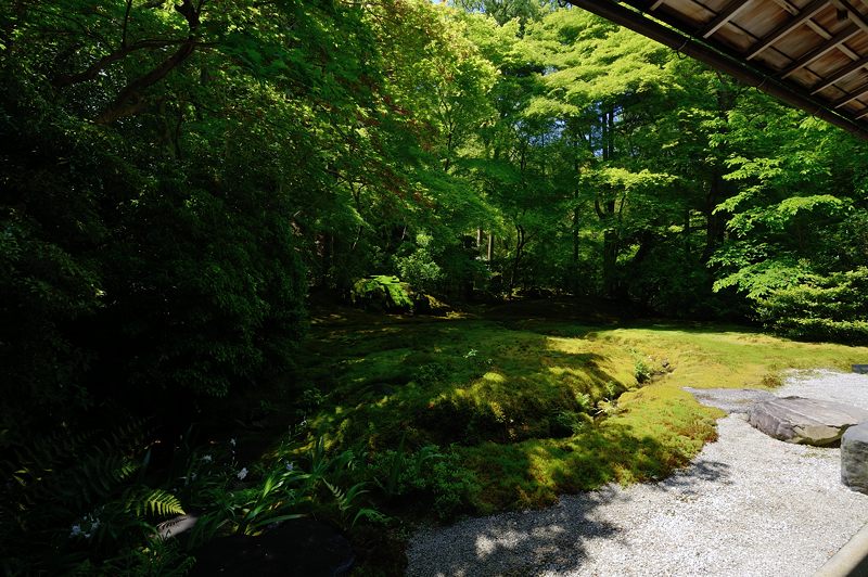 新緑巡り・瑠璃光院 其の二_f0032011_18223512.jpg