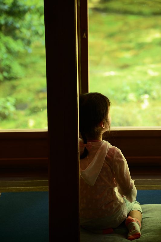 新緑巡り・瑠璃光院 其の二_f0032011_18225259.jpg
