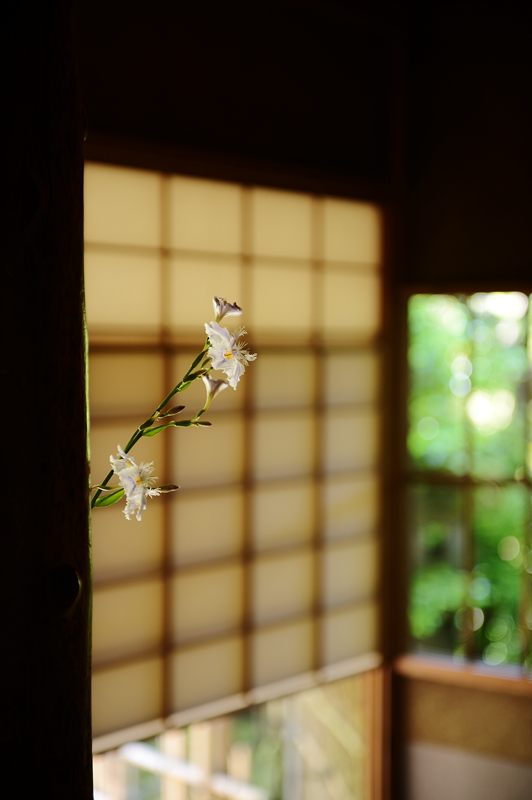 新緑巡り・瑠璃光院 其の二_f0032011_18264192.jpg