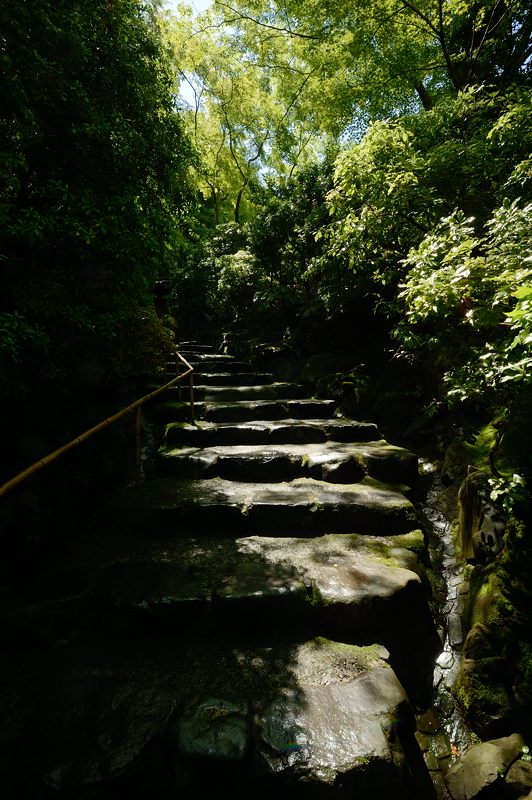 新緑巡り・瑠璃光院 其の二_f0032011_18274793.jpg