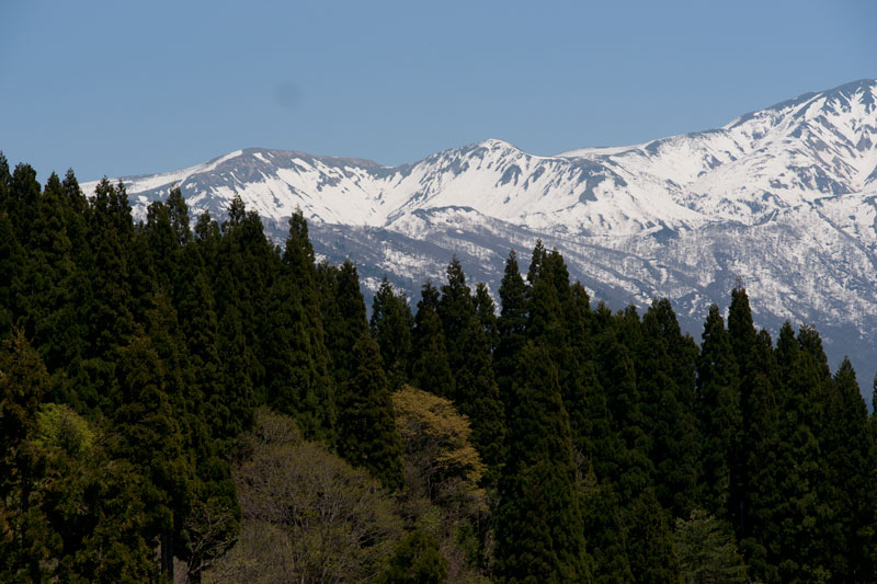a0278914_11583097.jpg