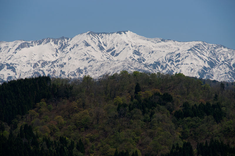 a0278914_1215793.jpg