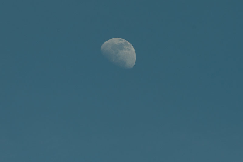a0278914_17451395.jpg