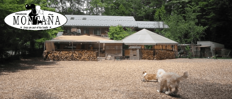 e0256814_17134857.gif