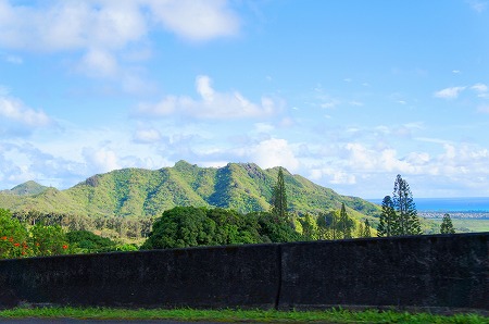 d0163317_92747.jpg