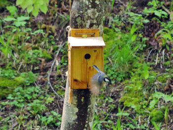 f0232920_16362215.gif