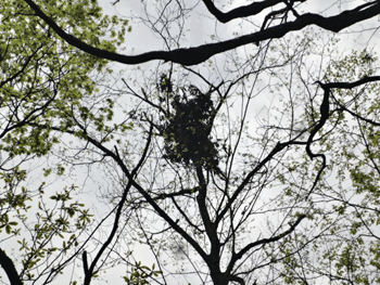f0232920_17134412.gif