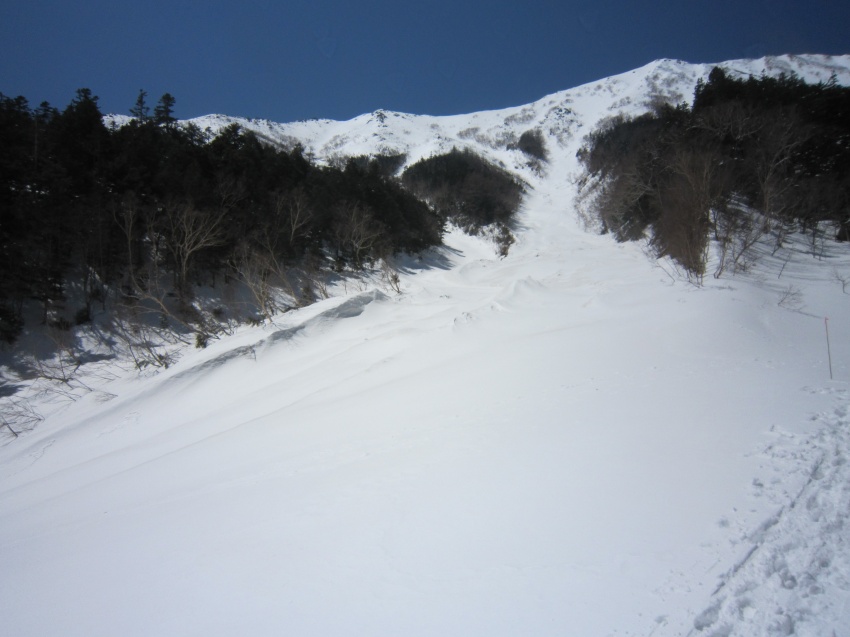 d0247927_06334.jpg