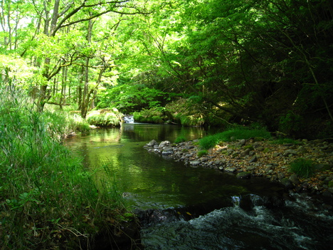 a0233432_22414757.jpg