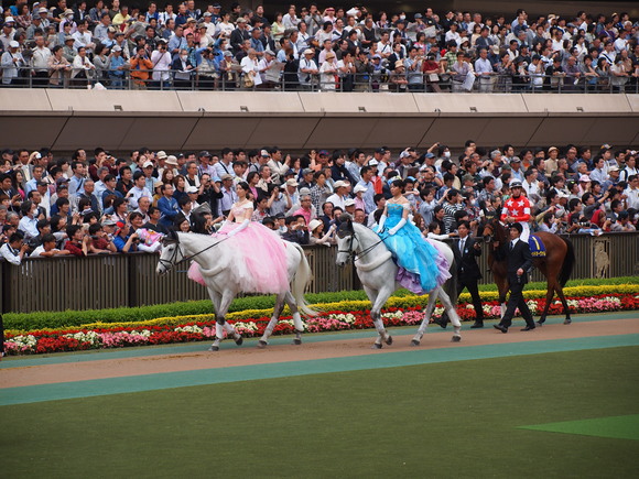 誘導馬のお姉さん オークス 東京競馬場の怪人