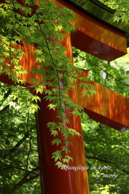 京都GreenPower 〜貴船神社〜_a0207736_23581750.jpg