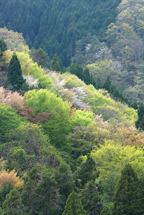 c0067040_22243578.jpg
