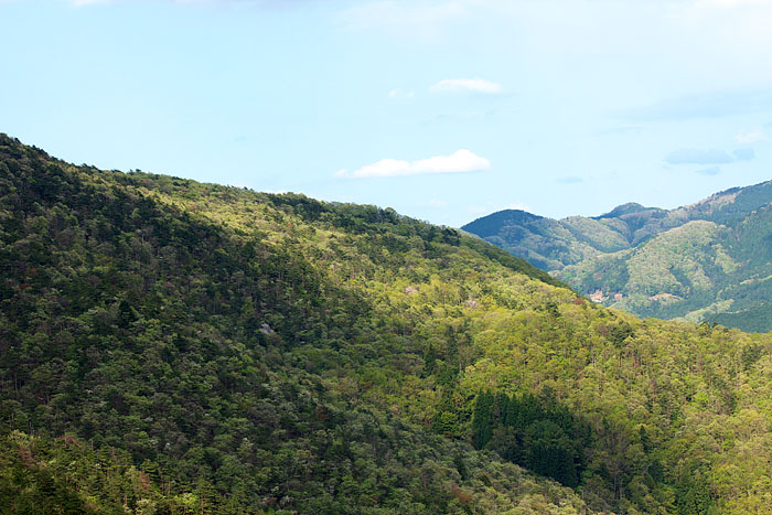 c0067040_2229771.jpg
