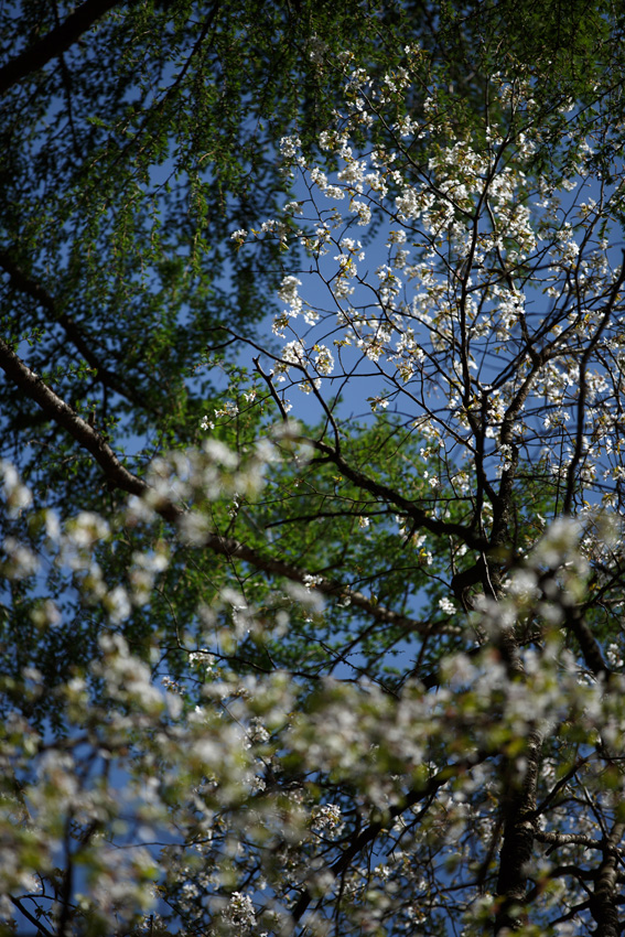 c0035245_2047.jpg