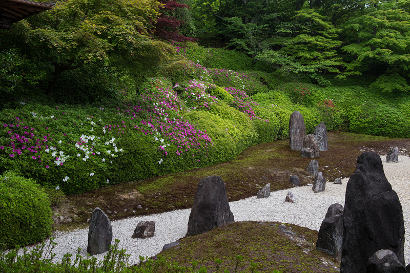 ツツジ咲く波心庭(光明院)_f0155048_7181871.jpg