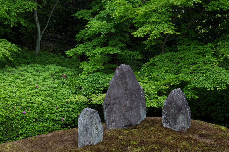 ツツジ咲く波心庭(光明院)_f0155048_718477.jpg