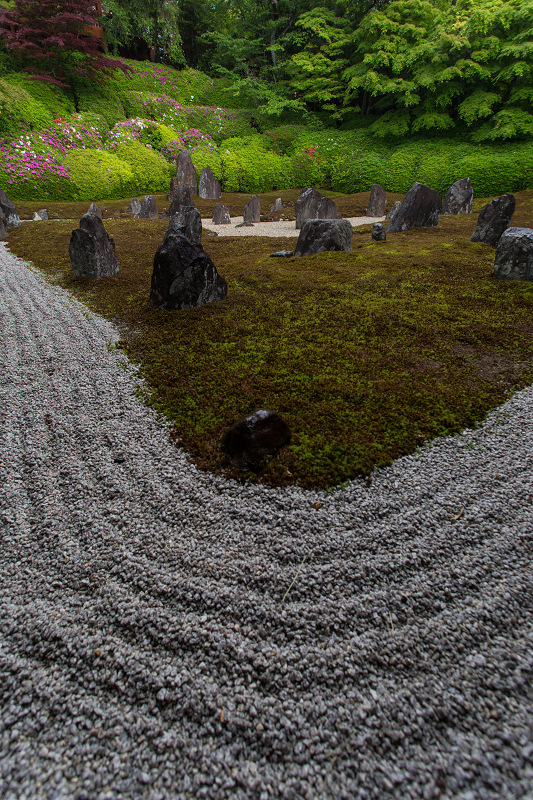ツツジ咲く波心庭(光明院)_f0155048_7203026.jpg