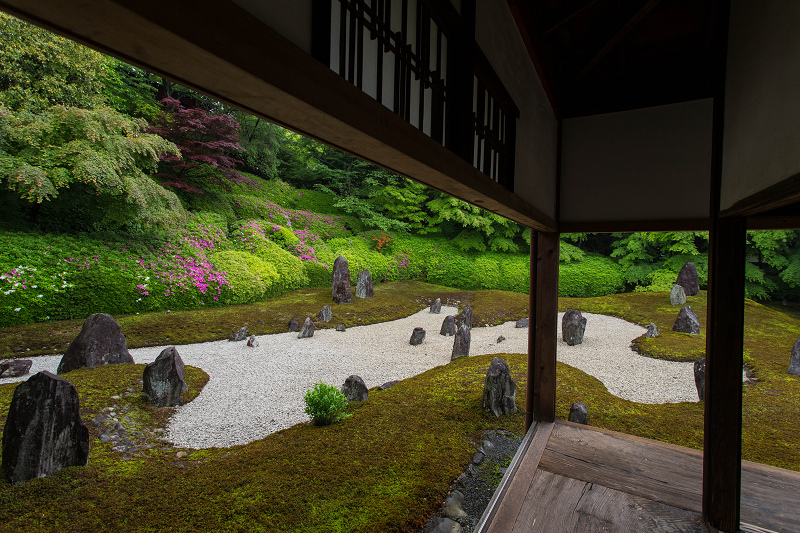 ツツジ咲く波心庭(光明院)_f0155048_7211747.jpg