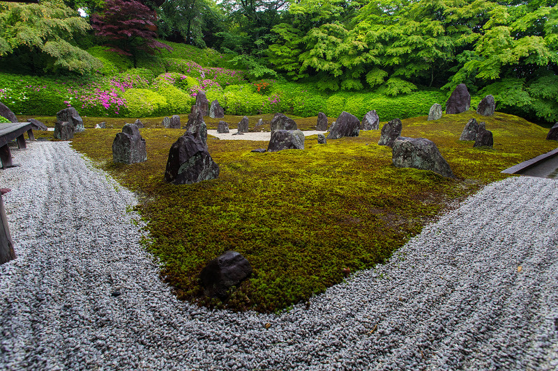 ツツジ咲く波心庭(光明院)_f0155048_7224018.jpg