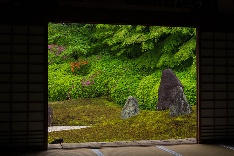 ツツジ咲く波心庭(光明院)_f0155048_7235692.jpg
