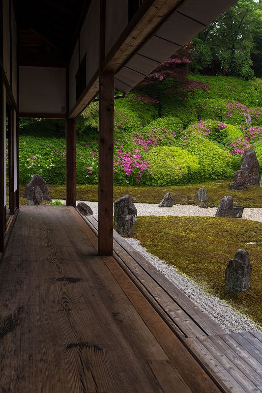 ツツジ咲く波心庭(光明院)_f0155048_726533.jpg