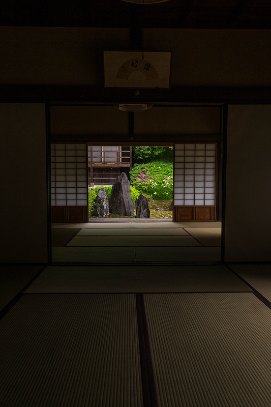 ツツジ咲く波心庭(光明院)_f0155048_7273065.jpg