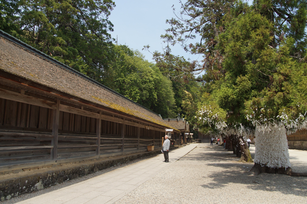 先輩遠方より遷座祭に来る①_f0214649_4341434.jpg