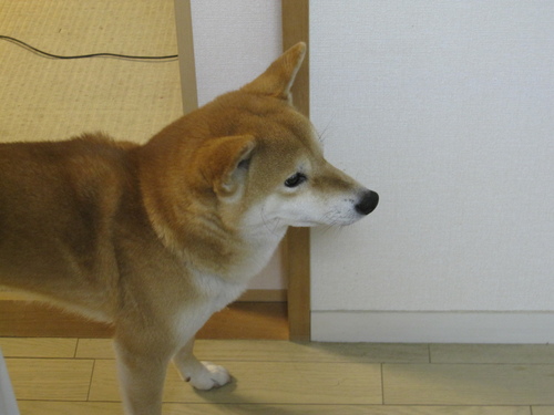 f0245650_22564879.jpg
