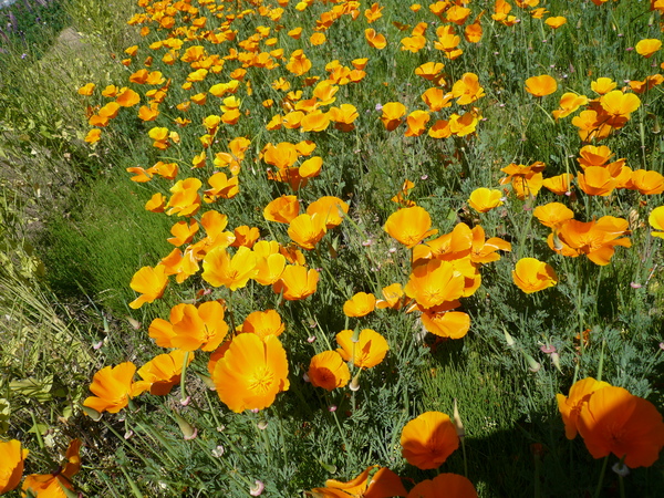 c0043055_1343565.jpg