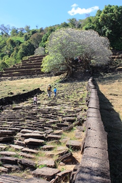 ワット・プー⑤　最後の難関、目指せ「山の上の寺院」！_f0019856_1650532.jpg