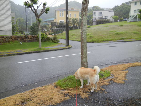’13,5,20(月)雨の日も楽し~!_f0060461_8562263.jpg
