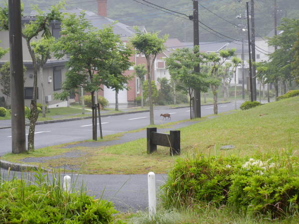 ’13,5,20(月)雨の日も楽し~!_f0060461_925066.jpg