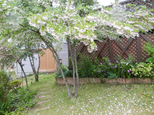 ’13,5,20(月)雨の日も楽し~!_f0060461_951977.jpg