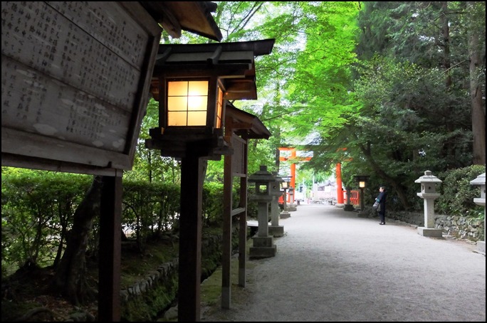 天鈿女命の太田神社のカキツバタは国の天然記念物_a0031363_1111843.jpg