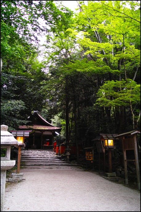 天鈿女命の太田神社のカキツバタは国の天然記念物_a0031363_1141089.jpg