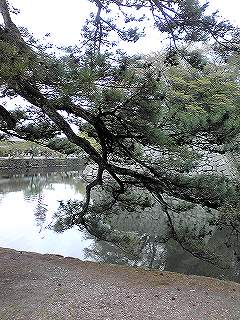 d0052263_12121328.jpg