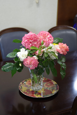 妻のガーデニング　薔薇_a0278866_23412912.jpg