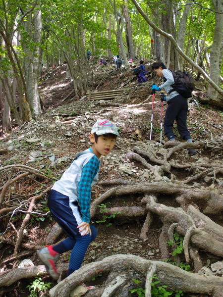 丹沢・鍋割山登山②_c0122670_2147295.jpg