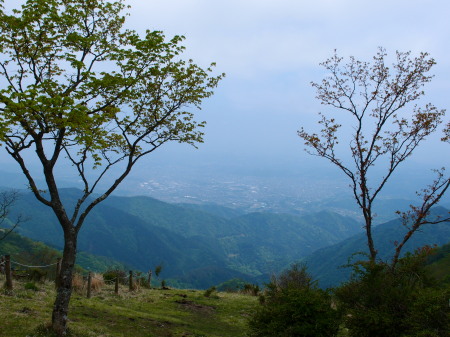 丹沢・鍋割山登山②_c0122670_21521588.jpg