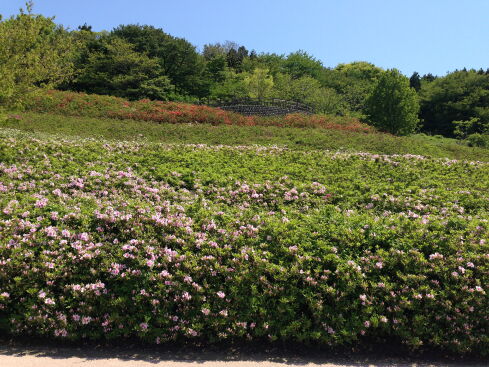 a0241871_8513037.jpg
