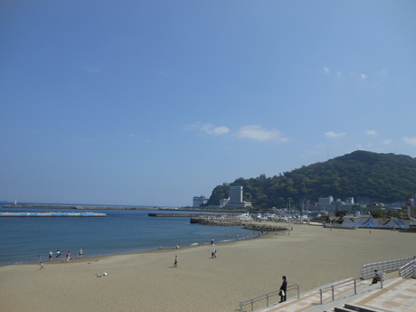 c0206177_86527.jpg