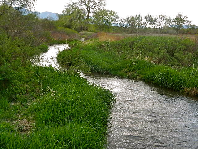 d0260278_11351340.jpg