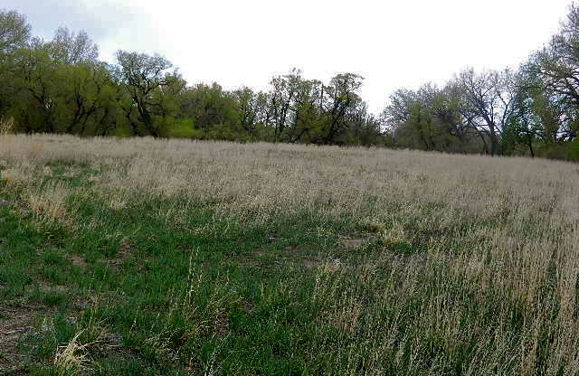 d0260278_11424581.jpg