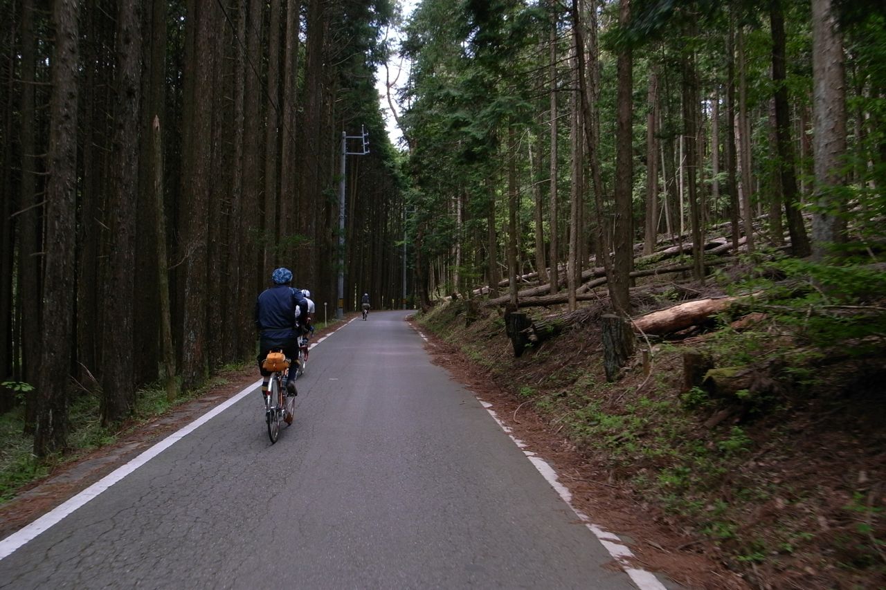 f0124378_2027663.jpg