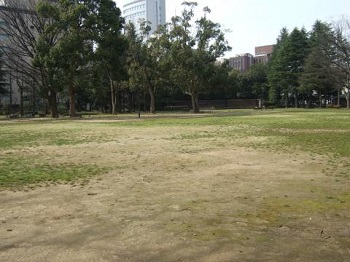 続き:『花岡ちゃんの夏休み』―中央公園の思い出_c0309082_2313019.jpg