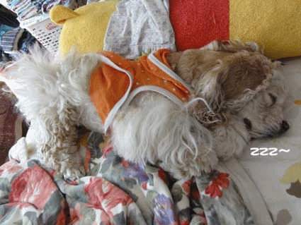 f0218182_19253591.gif